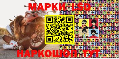 гидра Камышлов
