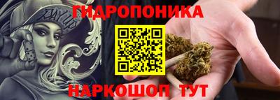 гидра Камышлов