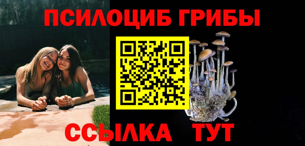 Псилоцибиновые грибы прущие грибы Коркино