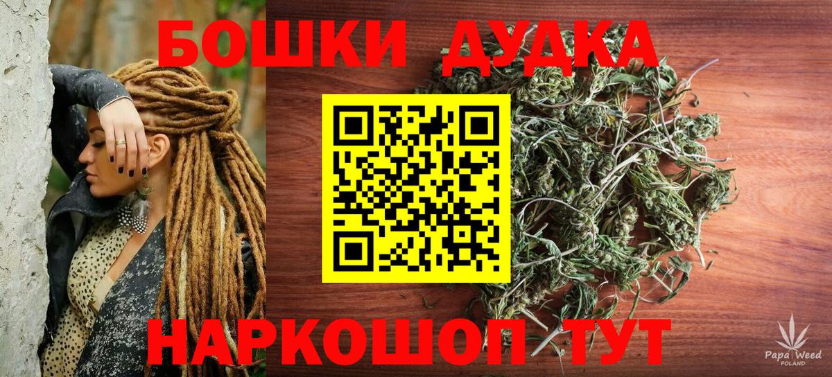 Канабис сатива Коркино